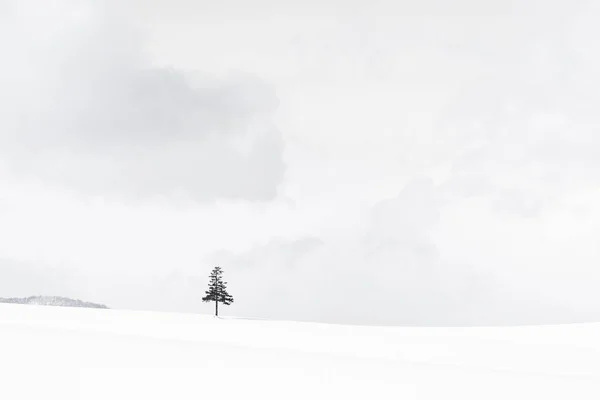 Beau paysage nature en plein air avec arbre de Noël en hiver — Photo