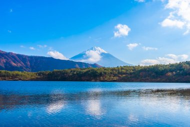 Dağ fuji ile akçaağaç yaprağı ağacın etrafında güzel manzara