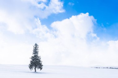 Güzel açık doğa manzara ile yalnız Sunni Noel ağacında