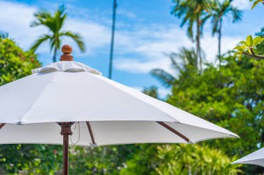 Üzerinde hindistan cevizi palmiye ağacı ile şemsiye seçici odak noktası 