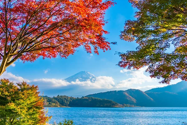 Piękny krajobraz góry Fuji z liścia klonu wokół — Zdjęcie stockowe