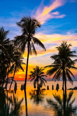 Yüzme havuzu güzel açık tropikal doğa manzara 