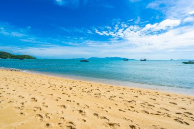 Hindistan cevizi palmiye ağacı ile güzel tropikal plaj deniz ve okyanus bir