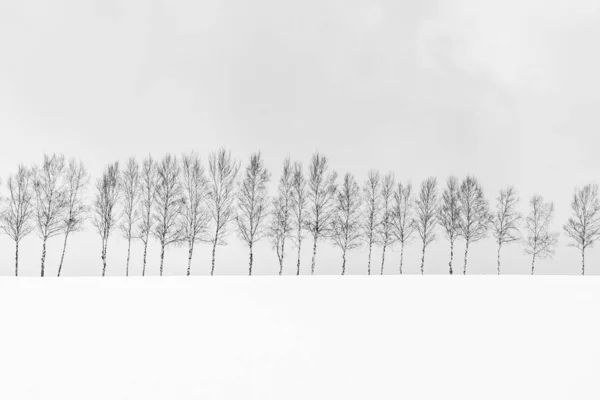 Открытый природный ландшафт с группой ветвей деревьев в — стоковое фото