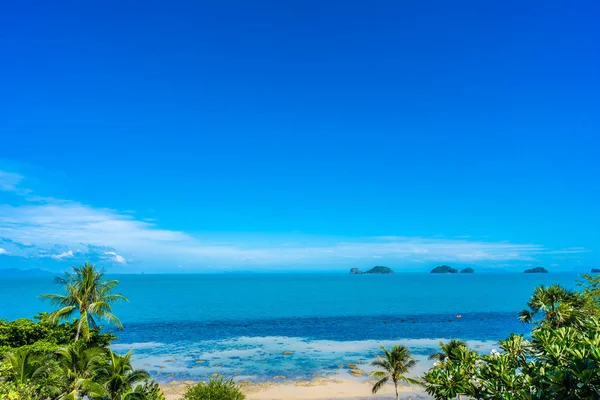 Beautiful tropical sea ocean with coconut palm tree on blue sky — Stock Photo, Image