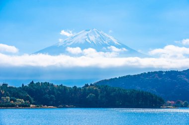 Dağ fuji ile akçaağaç yaprağı ağacın etrafında güzel manzara