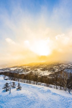 Dağın etrafından kar kış deniz ağacında ile güzel manzara