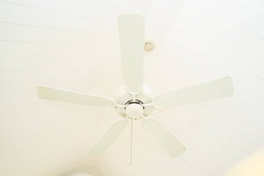 Beyaz tavan fan dekorasyon iç