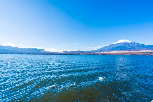 Όμορφο τοπίο του βουνού fuji γύρω από τη λίμνη yamanakako — Φωτογραφία Αρχείου