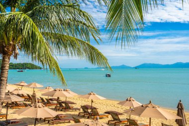 Hindistan cevizi palmiye ağacı ile güzel tropikal plaj deniz ve okyanus bir