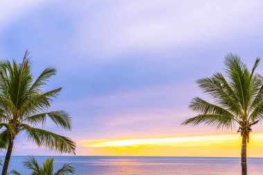 Hol için gün doğumu saatinde palmiye ağacı ile güzel deniz okyanusu plaj