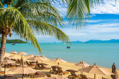 Hindistan cevizi palmiye ağacı ile güzel tropikal plaj deniz ve okyanus bir