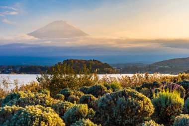 Dağ fuji ile akçaağaç yaprağı ağacın etrafında güzel manzara