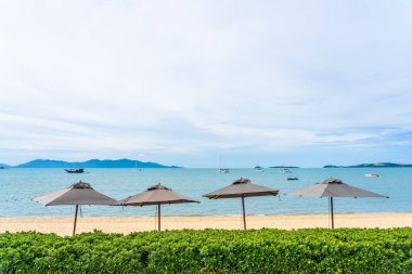 Hindistan cevizi palmiye ağacı ile güzel tropikal plaj deniz ve okyanus bir