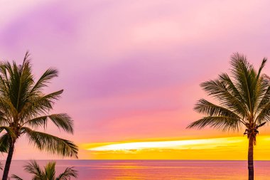 Hol için gün doğumu saatinde palmiye ağacı ile güzel deniz okyanusu plaj