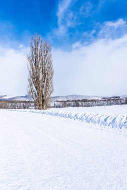 Güzel açık doğa manzara ağaç ken ve mary ile 