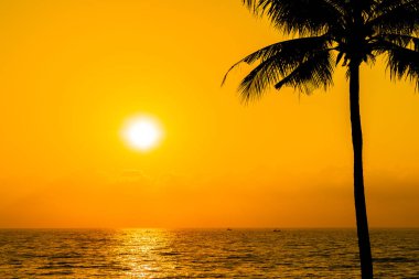Güzel siluet Hindistan cevizi hurma ağacı gökyüzü neary deniz okyanus üzerinde olması