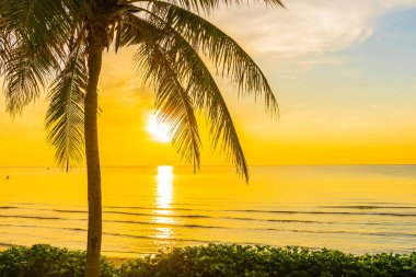 COC ile deniz Okyanusu plajının güzel açık tropikal manzara