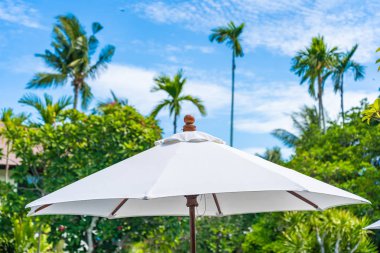 Üzerinde hindistan cevizi palmiye ağacı ile şemsiye seçici odak noktası 