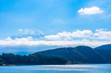 Dağ fuji ile akçaağaç yaprağı ağacın etrafında güzel manzara