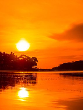 Güzel tropikal plaj deniz ve Hindistan cevizi palmiye ağacı ile okyanus