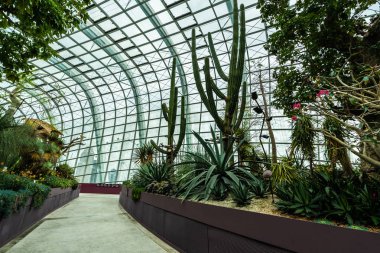 Çiçek kubbe Bahçesi ve greenhous bina güzel mimari