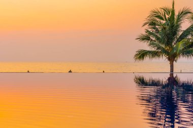 Swimmi etrafında hindistan cevizi palmiye ağacı ile güzel manzara açık