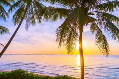 COC ile deniz Okyanusu plajının güzel açık tropikal manzara