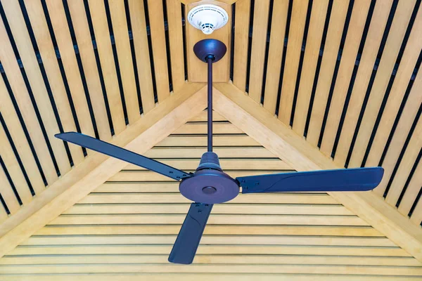 Electric ceiling fan decoration interior