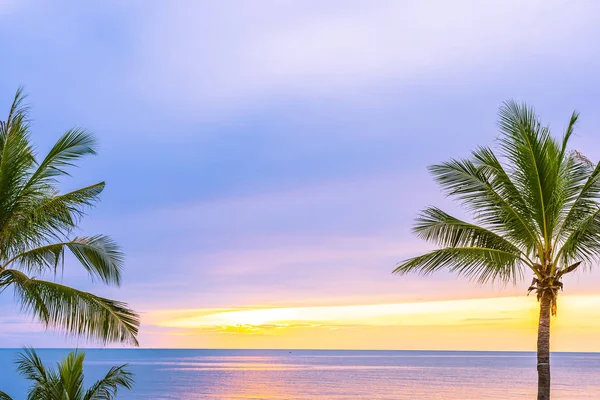 Hermosa playa de mar con palmera al amanecer para el alcohol —  Fotos de Stock