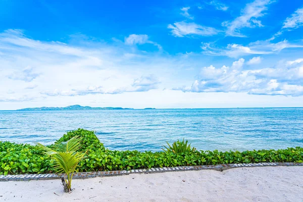 Bela paisagem da praia mar oceano com coco palmeira wi — Fotografia de Stock