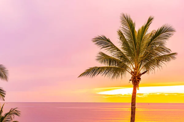 Schöner Strand am Meer mit Palme bei Sonnenaufgang für hol — Stockfoto