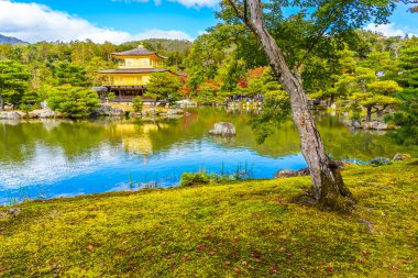 Kyoto Japonya'da altın köşk ile güzel Kinkakuji Tapınağı