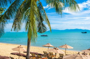 Hindistan cevizi palmiye ağacı ile güzel tropikal plaj deniz ve okyanus bir