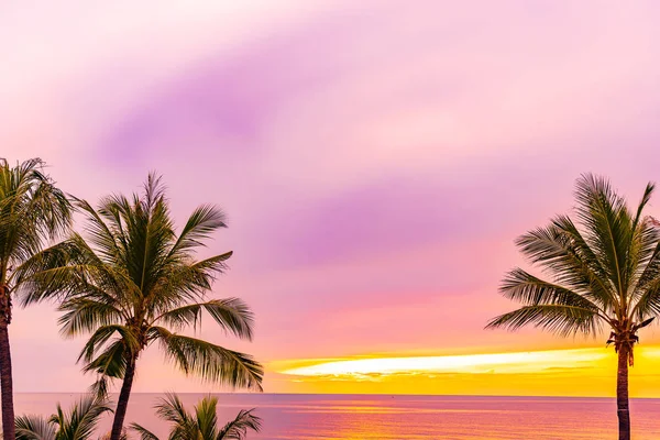 Gyönyörű tengeri óceán strand pálmafa napfelkeltekor ideje hol — Stock Fotó