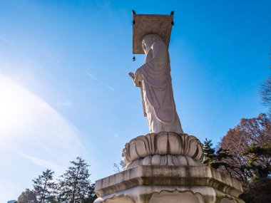 Güzel Budizm heykel Bongeunsa Tapınak