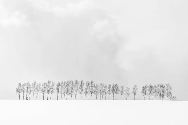 Schöne Naturlandschaft im Freien mit einer Gruppe von Ästen in — Stockfoto