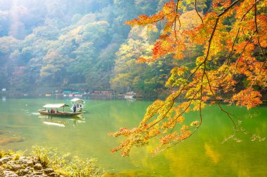 Akçaağaç ağaç yaprak ve etrafında tekne ile güzel Arashiyama Nehri 
