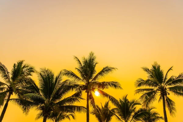 Güneşin Doğuşunda Batışında Okyanus Kıyısında Palmiye Ağaçları Olan Güzel Bir — Stok fotoğraf