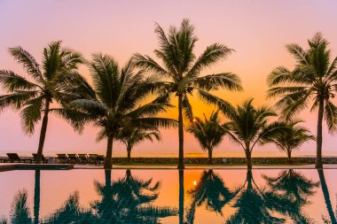 Güzel doğa, açık havuz çevresindeki palmiye ağaçları oteldeki tatil beldesinde, neredeyse deniz kıyısında.