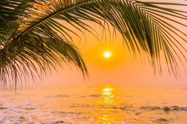 Güneşin doğuşunda ve batışında okyanus kıyısında palmiye ağaçları olan güzel bir doğa.