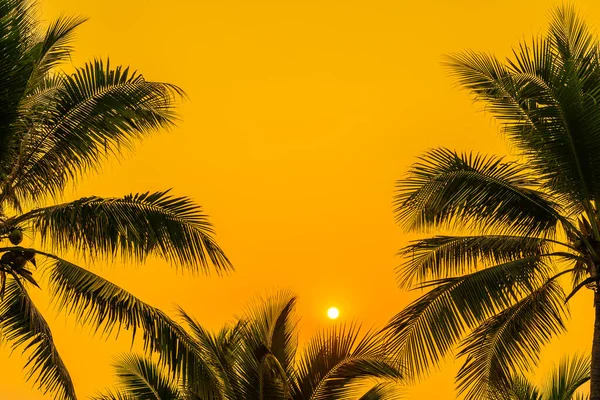 Schöne Natur Mit Palmen Rund Meer Ozean Strand Bei Sonnenuntergang — Stockfoto