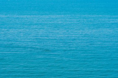 Hindistan cevizi palmiyesi etrafındaki deniz okyanusu koyunun güzel tropikal doğası tatil için.