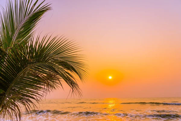 Prachtige Natuur Met Palmbomen Rond Zee Oceaan Strand Bij Zonsondergang — Stockfoto