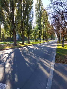 Geniş yol ve şehrin güzel güneşli gününde ağaçları ile Vadisi