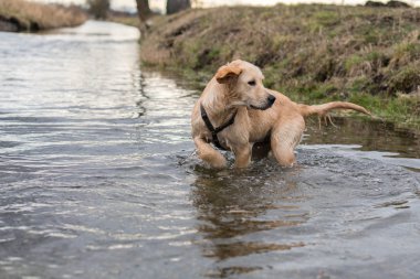 Tarlaların yanındaki serin suyun tadını çıkarma