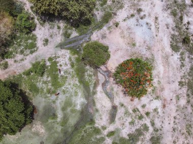 Uçak atış bir peyzaj alanları üzerinde atlı