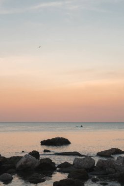 Kui Buri Milli Parkı Fil