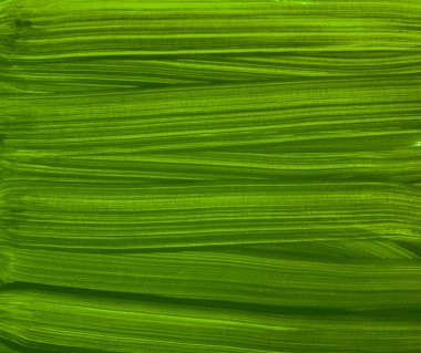 ahşap, doku, sanat, tasarım, fırça, boya, guaj, çizgili, yaz, yeşil, beyaz, sıcak, glamour, hassas, soyutlama, çizgiler, duvar kağıdı, ağaçlar, baskı, tekstil, Dekorasyon