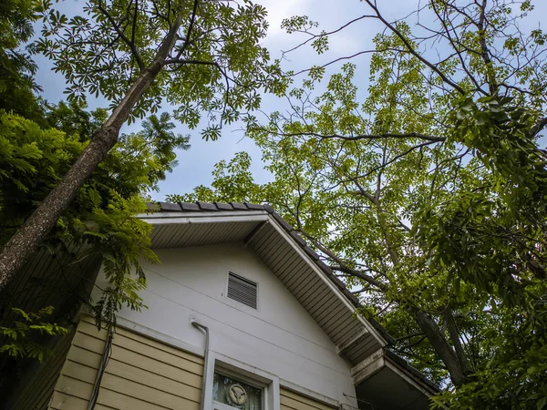 Wooden House in the Forest,Beautiful Sky and nature,House Tree and Blue sk